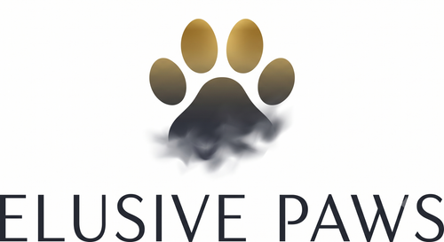 Elusive Paws